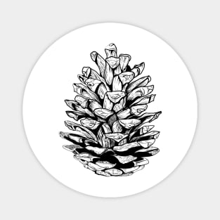 Pine cone Magnet